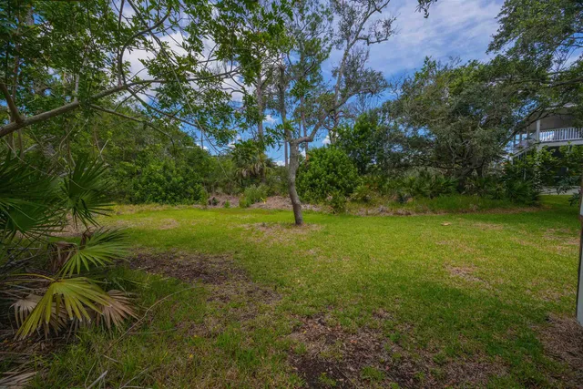 a view of a yard with an tree