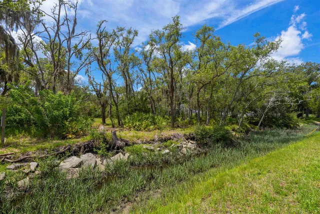 a view of yard with large tree