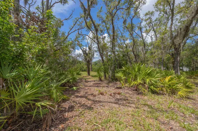 a backyard of a house with lots of trees