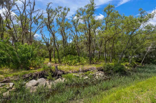 a view of yard with green space