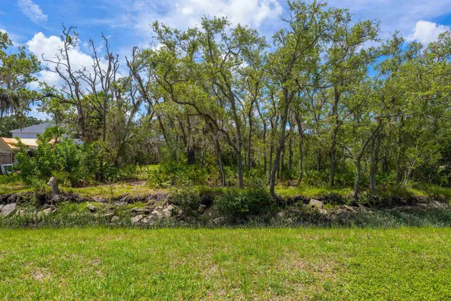 a view of a field with large trees