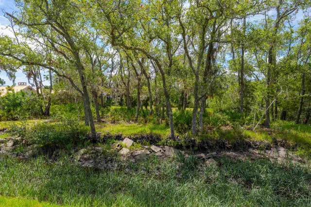 an aerial view of residential houses with outdoor space and trees