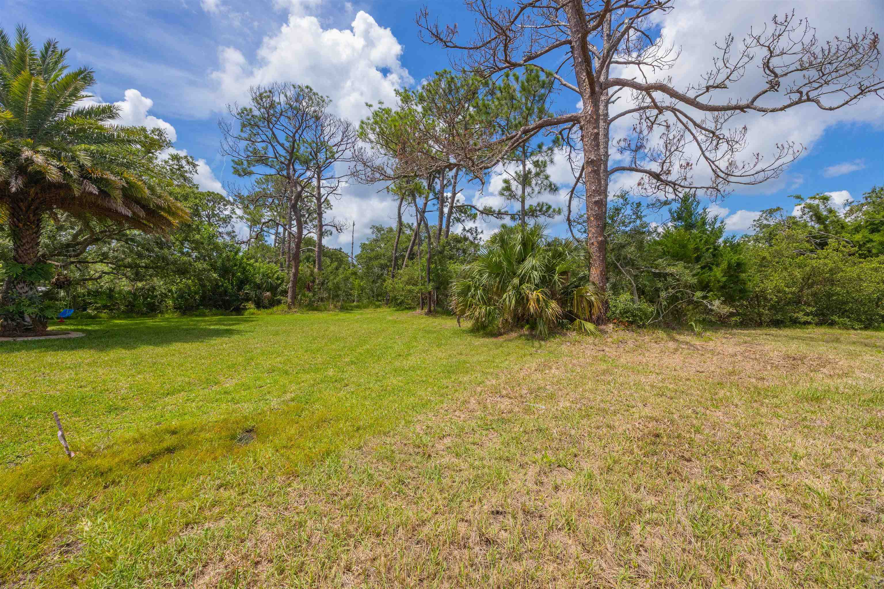Micklers Rd Street St. Augustine, FL 32080 - Photo 48 of 62 a view of a garden
