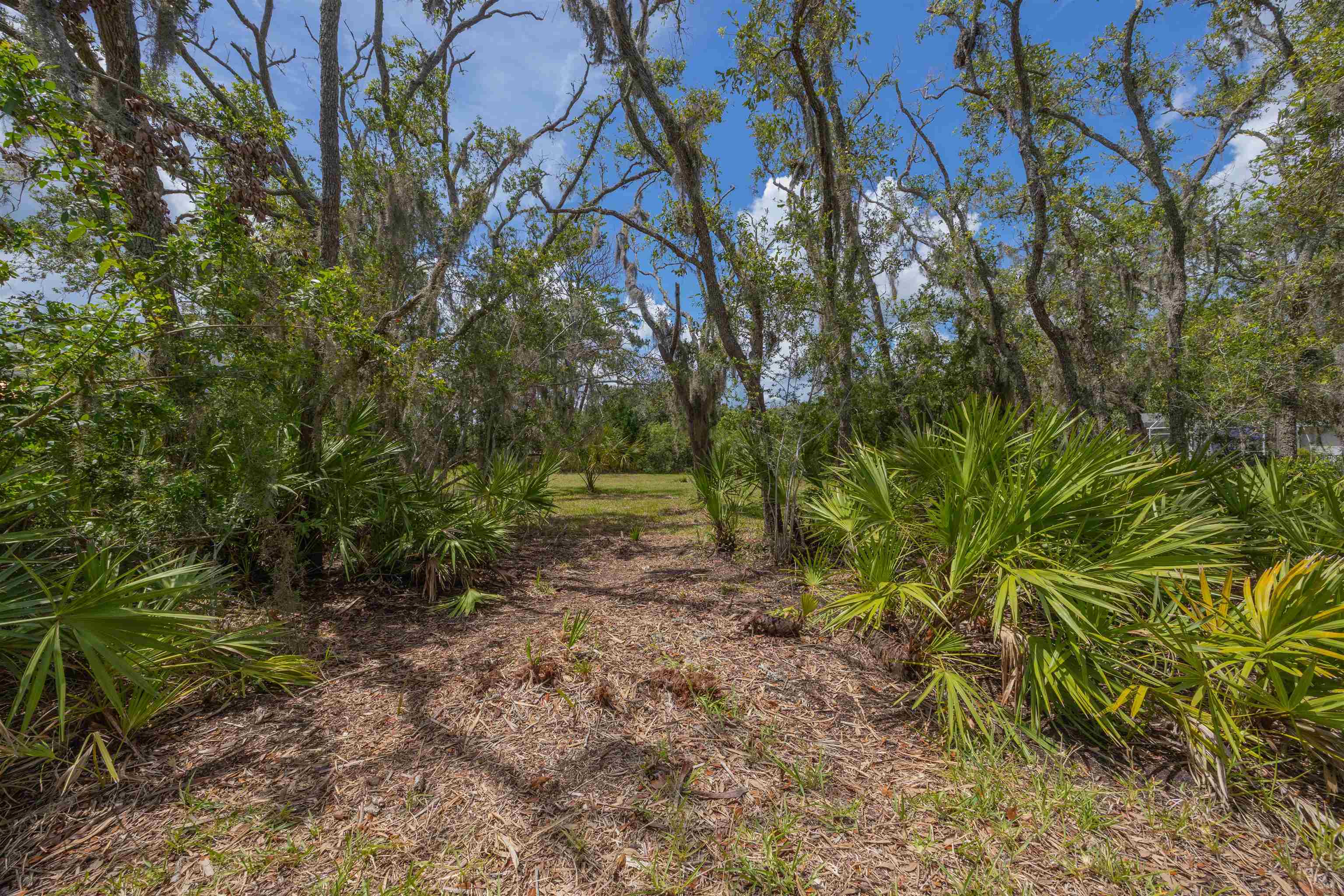 Micklers Rd Street St. Augustine, FL 32080 - Photo 6 of 62 a backyard of a house with lots of green space