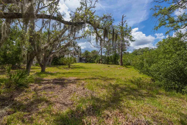 a view of outdoor space with trees all around