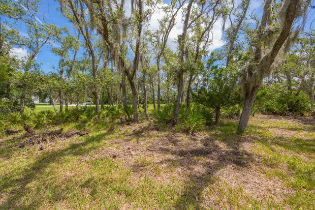 a view of a field of grass and trees