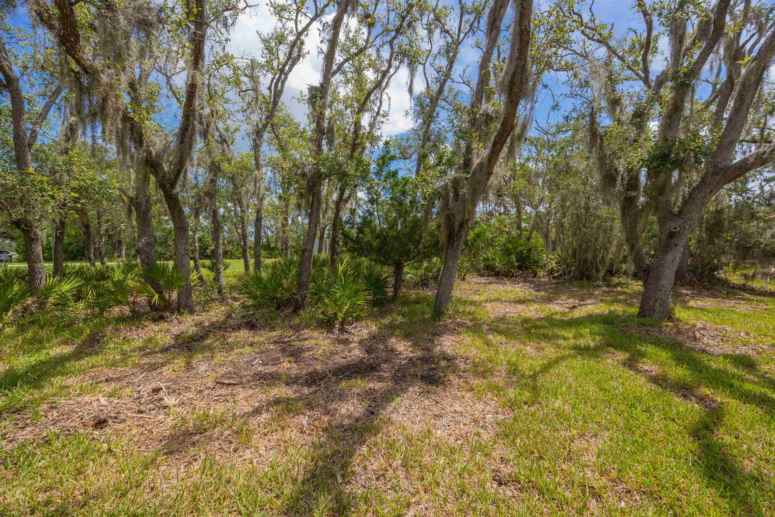 Micklers Rd Street St. Augustine, FL 32080 - Photo 10 of 62 a view of outdoor space with trees