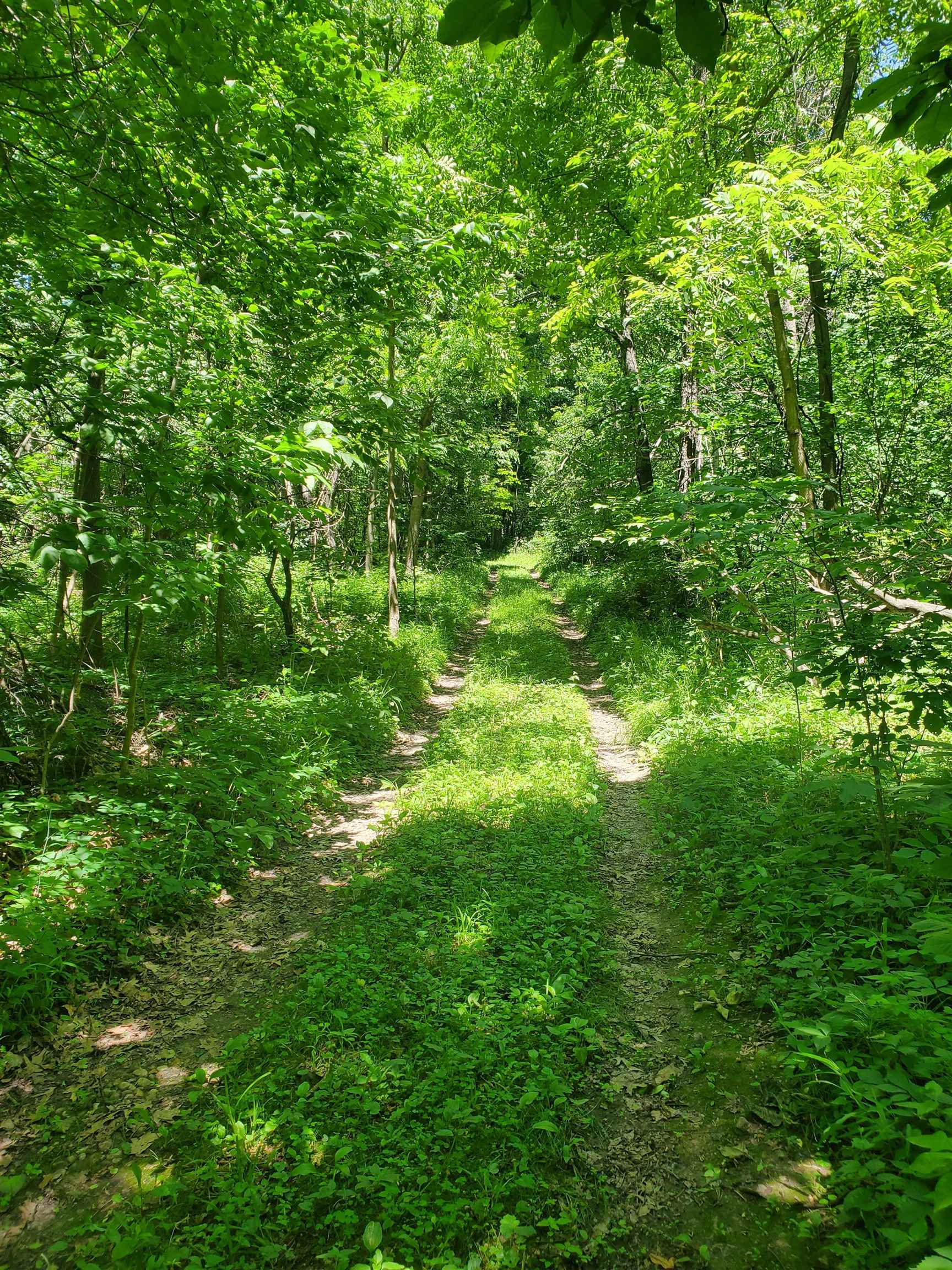 6500 West Kermit Road Freeport, IL 61032 - Photo 6 of 9 a view of a lush green space