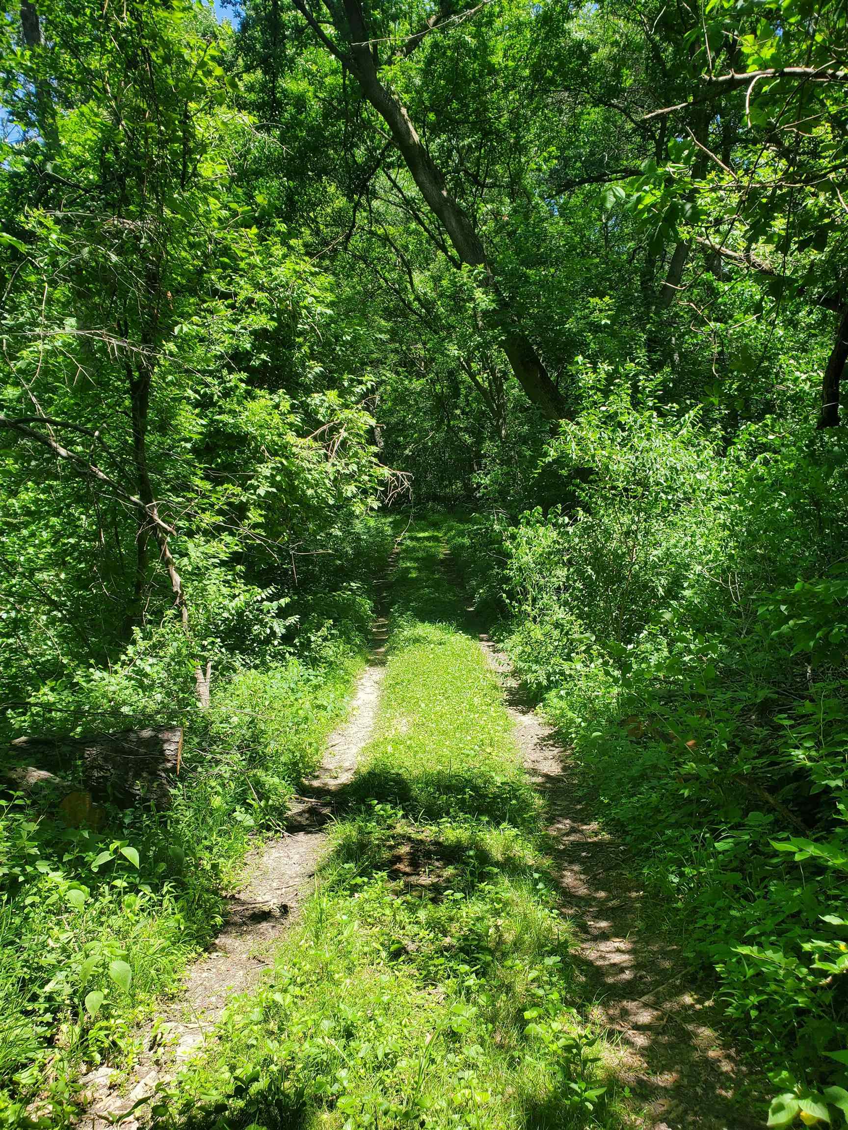 6500 West Kermit Road Freeport, IL 61032 - Photo 7 of 9 a view of a lush green yard