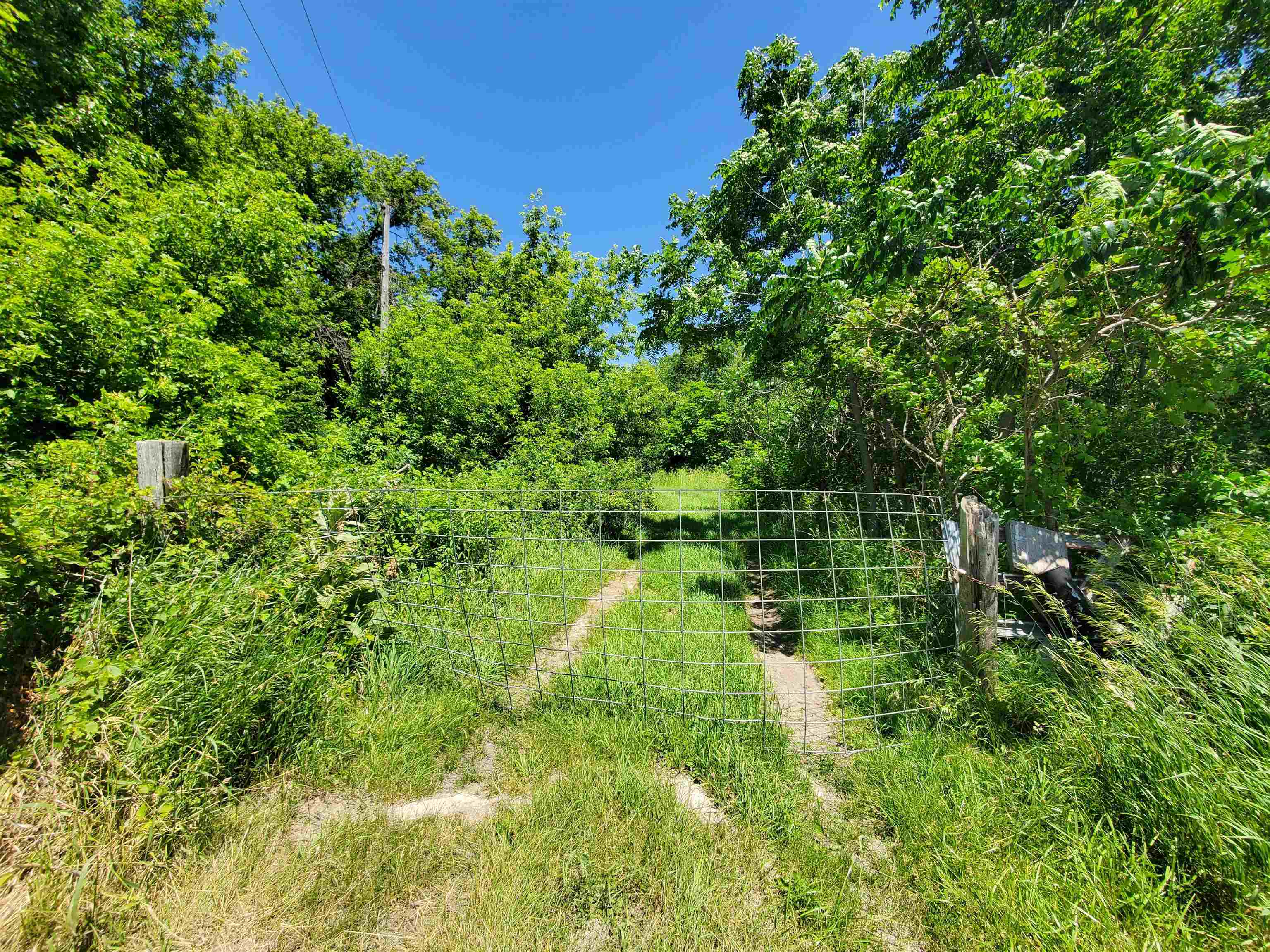 6500 West Kermit Road Freeport, IL 61032 - Photo 9 of 9 a lush green forest with lots of trees
