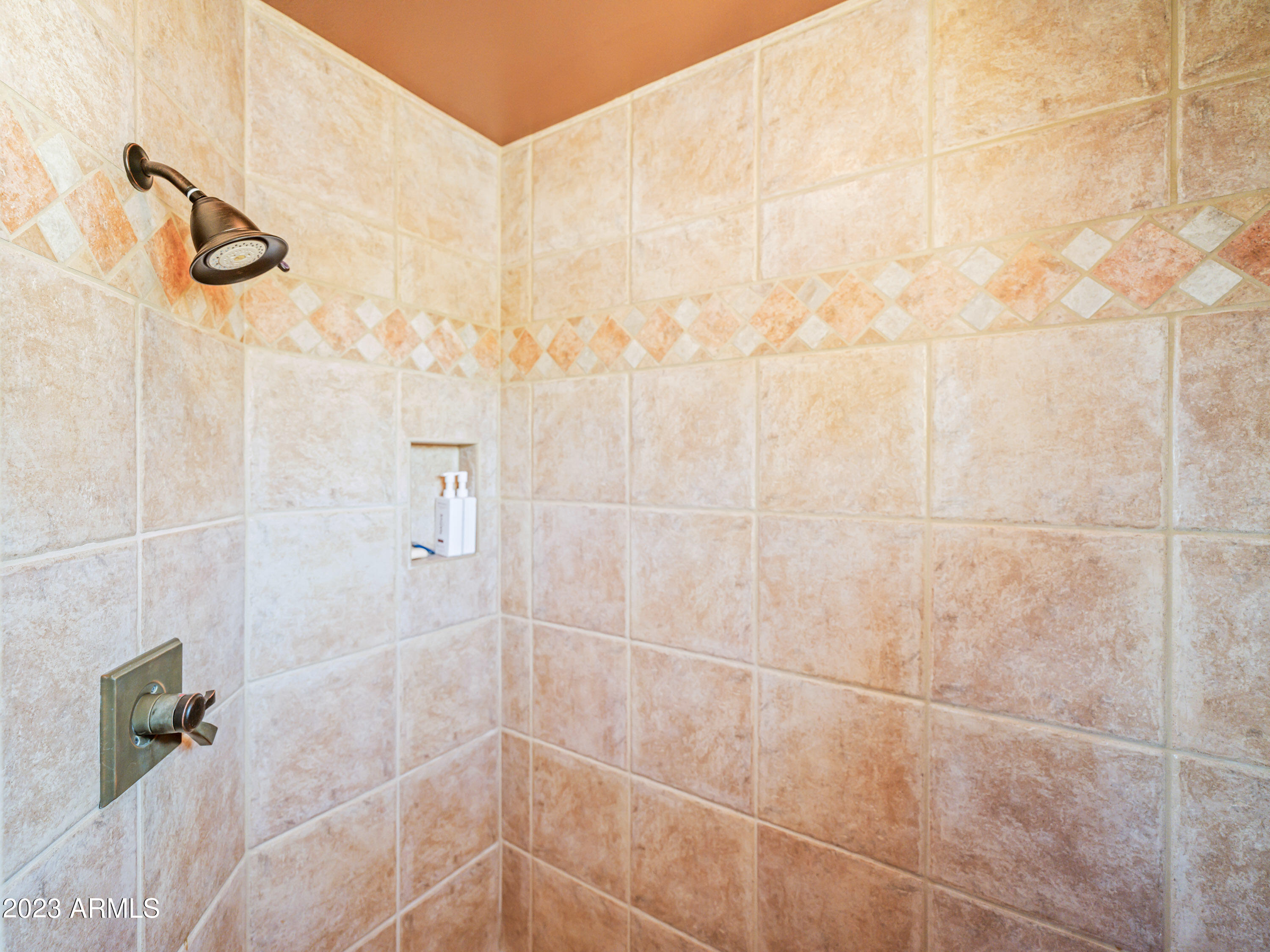 18424 Cobre Way Rio Verde, AZ 85263 - Photo 21 of 40 Snail shower in master