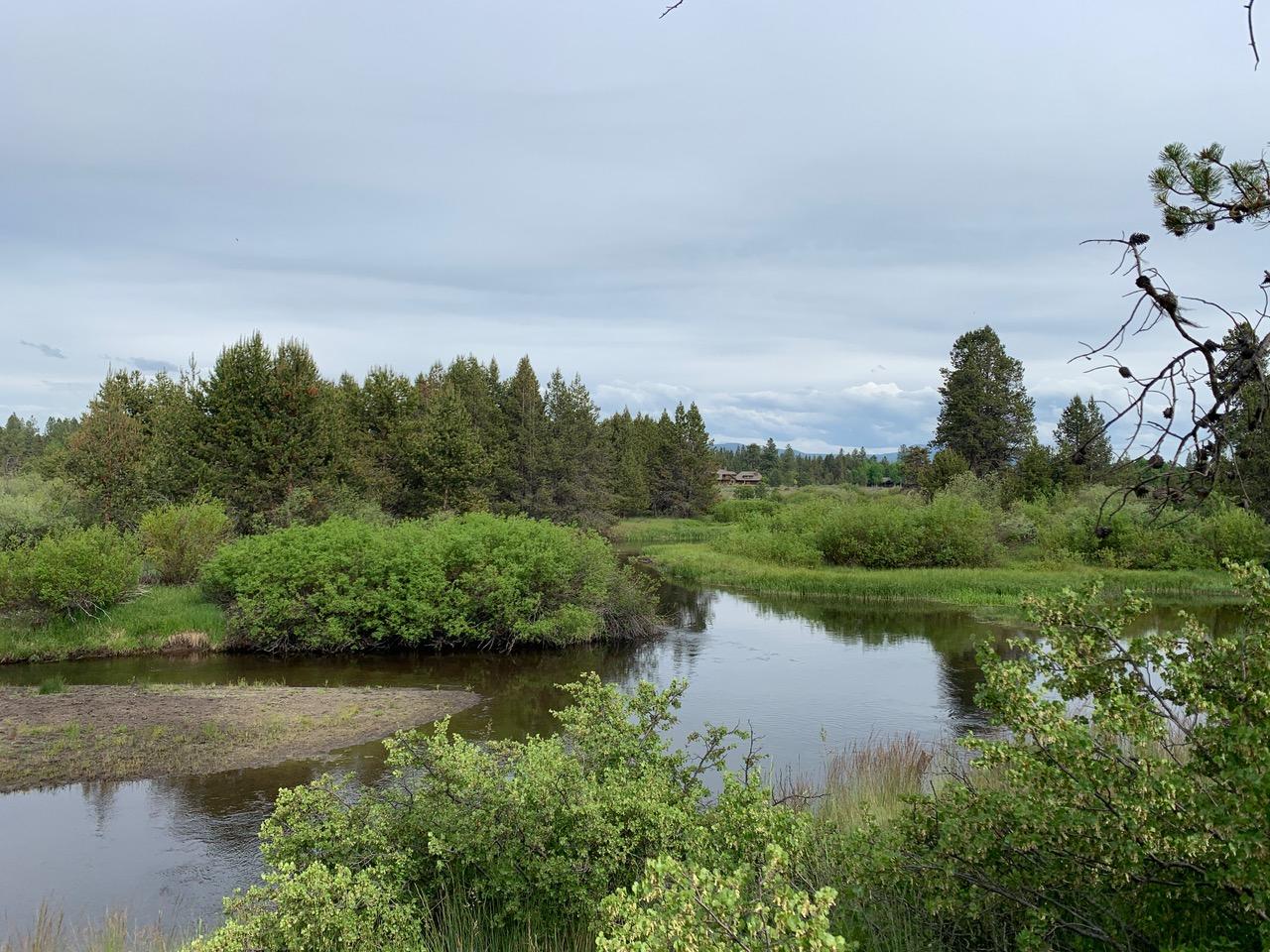 55855 Hashknife Road Bend, OR 97707 - Photo 6 of 14 IMG_7584