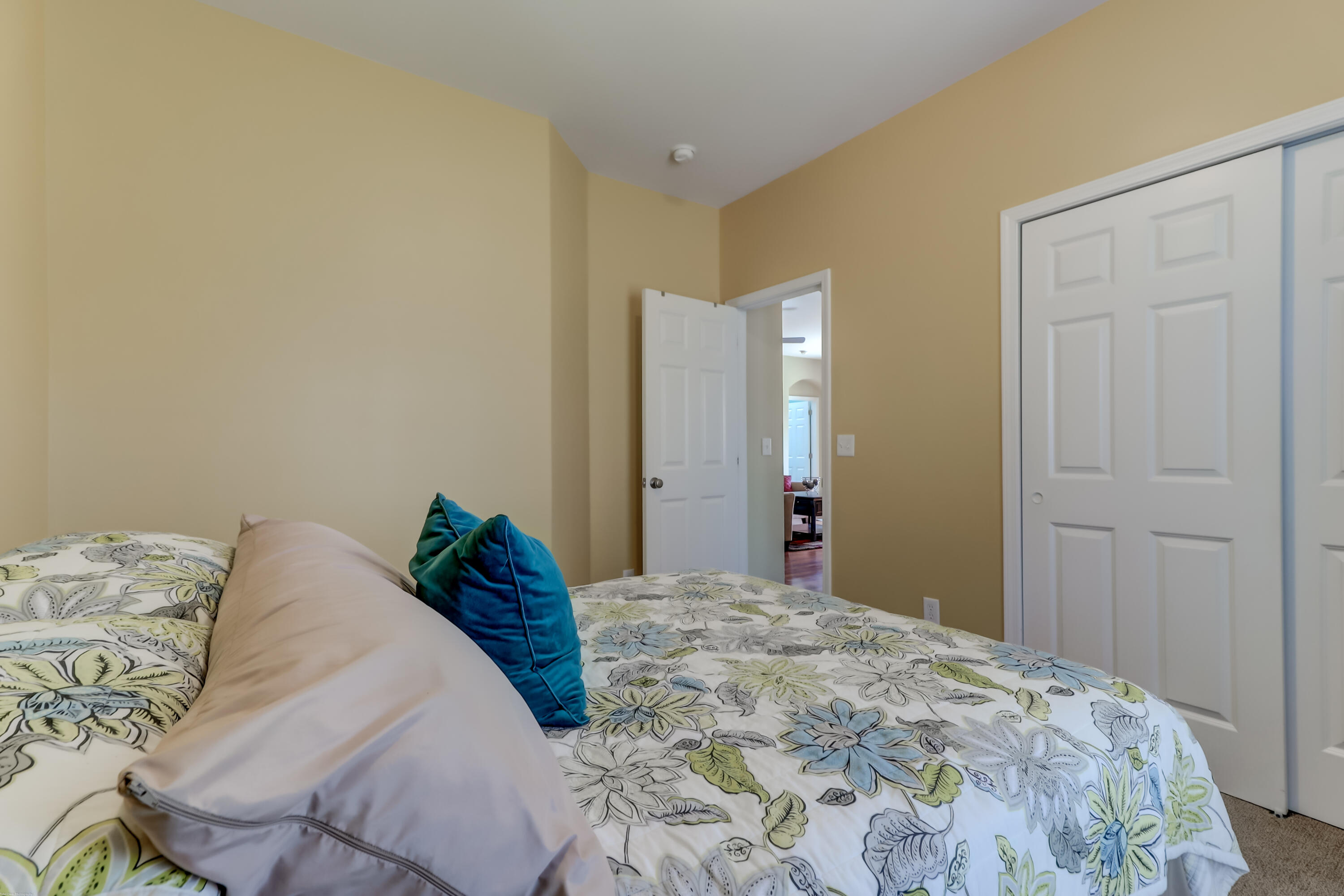 246 Meadow Wood Road Summerville, SC 29486 - Photo 28 of 35 246 Meadowwood (33)