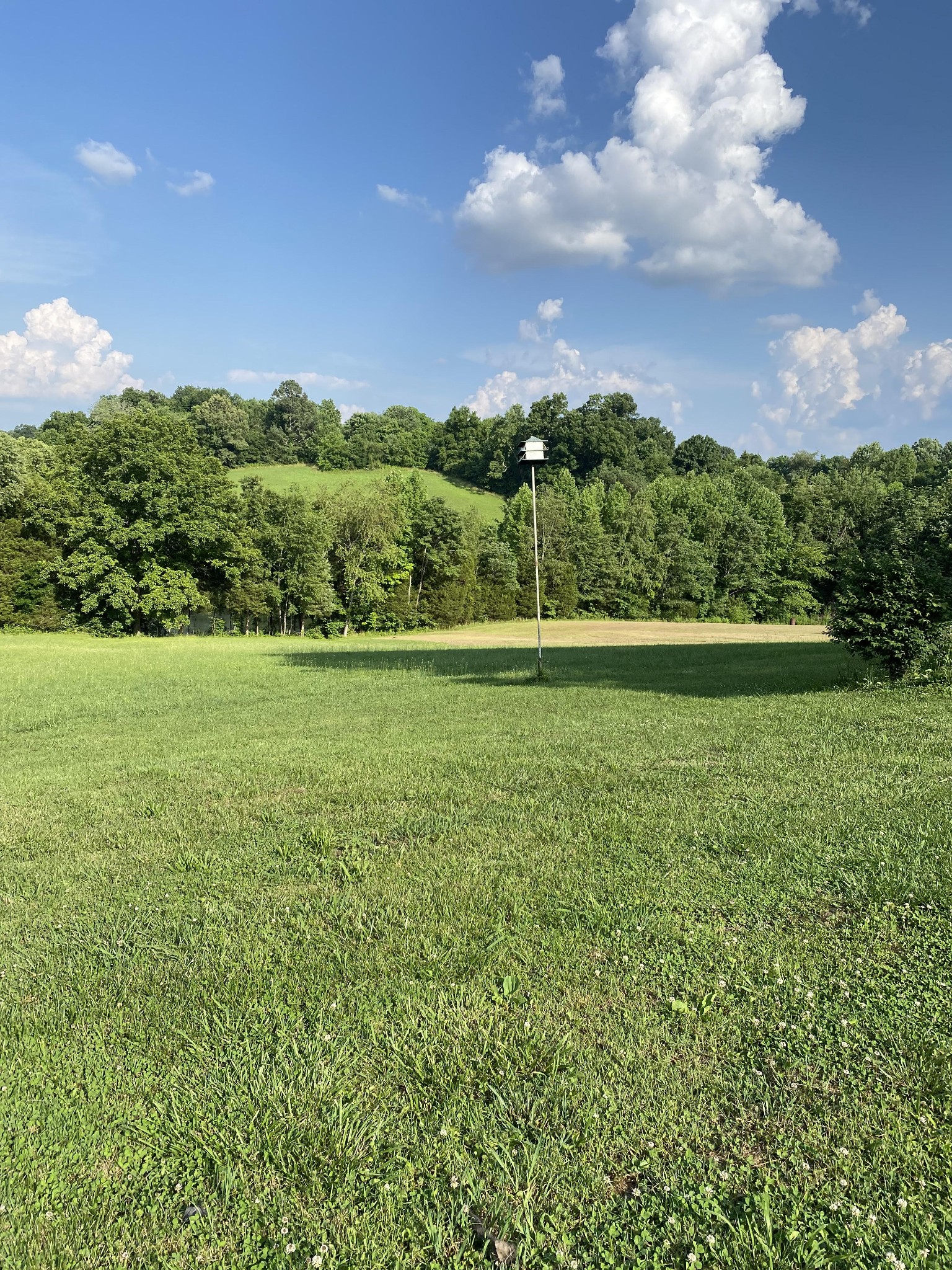 186 North Leath Road Portland, TN 37148 - Photo 4 of 4 a view of a big yard with plants and large trees