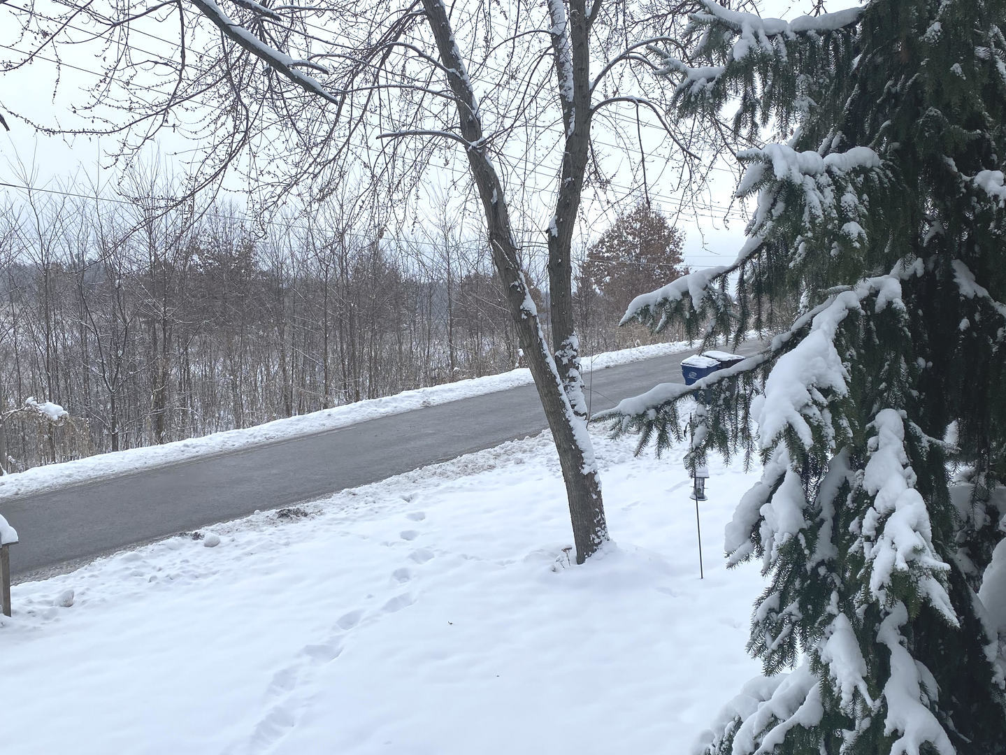 423 Grand Boulevard, Unit 423 Wauconda, IL 60084 - Photo 2 of 14 a view of a yard with a tree