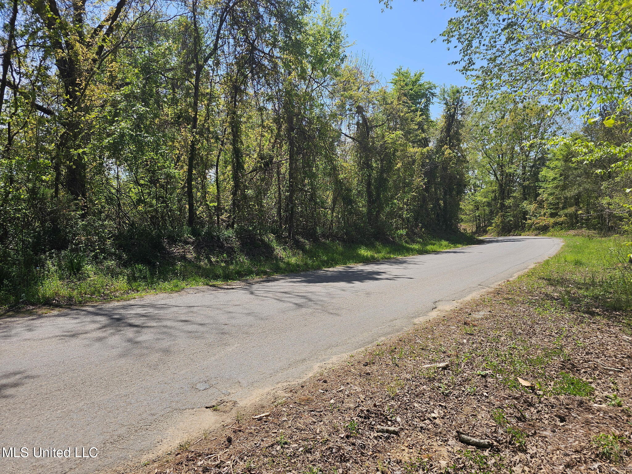 600 County Road 431 Ripley, MS 38663 - Photo 6 of 8 2377768137932898677