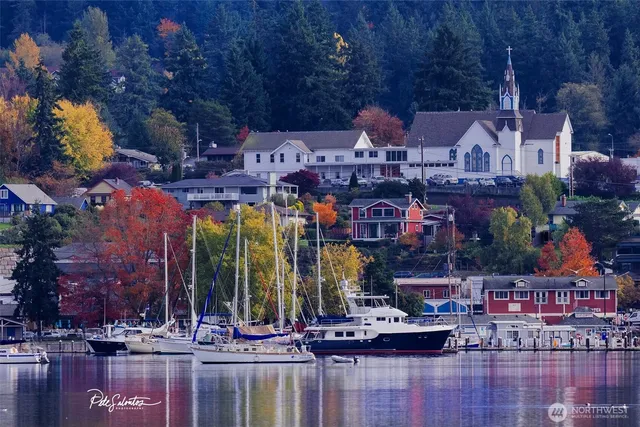 an aerial view of a house with a lake view