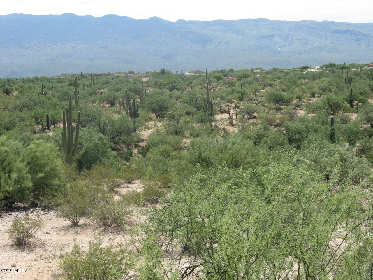 12150 East Prince Road, Unit D Tucson, AZ 85749 - Photo 5 of 8 Gallery Image 5