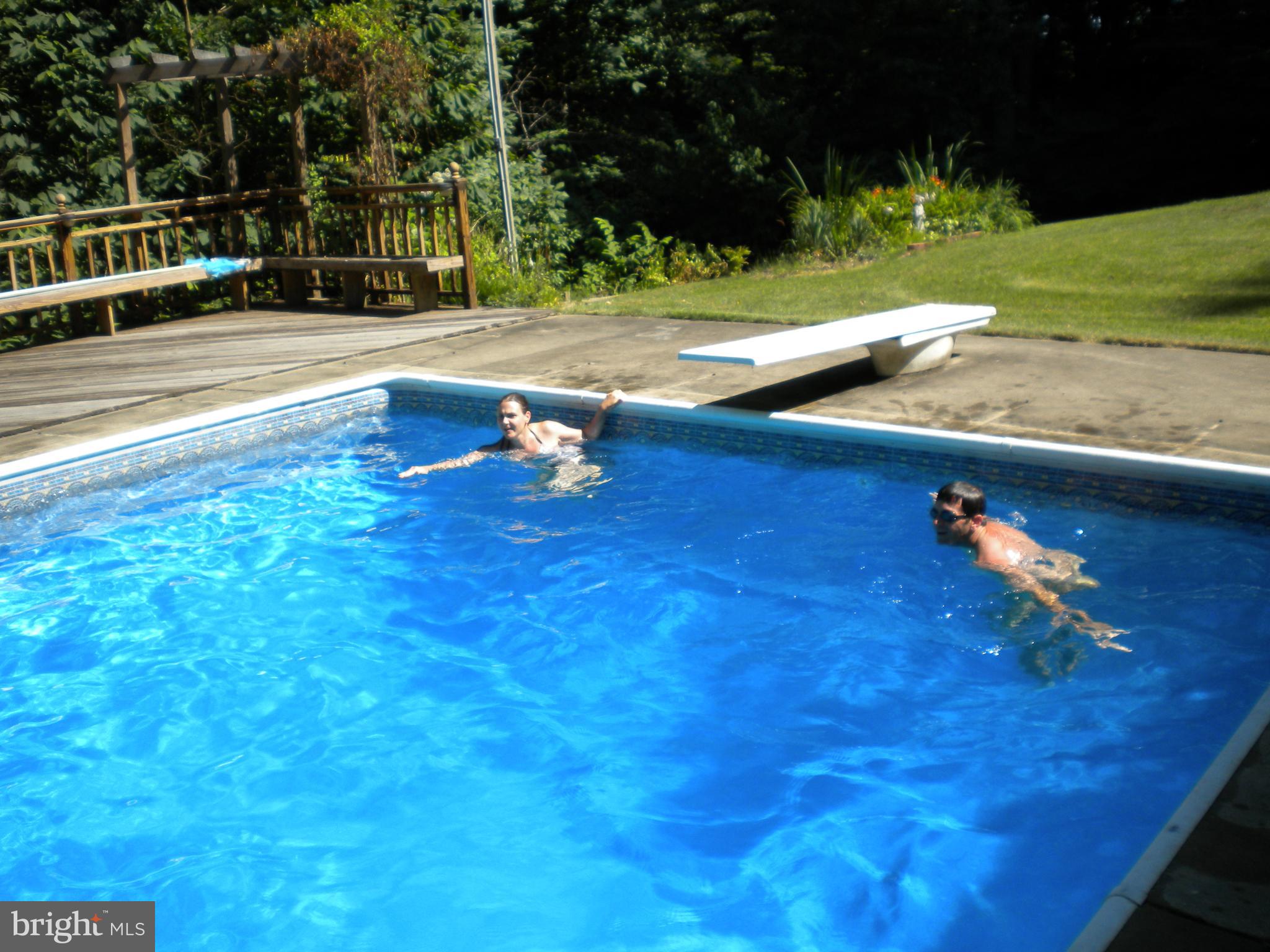 2162 Smoky Road Huntingtown, MD 20639 - Photo 30 of 38 Inground Pool with Diving Board