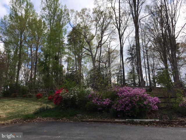 2162 Smoky Road Huntingtown, MD 20639 - Photo 35 of 38 Enjoy all the plantings and trees . Privacy galore