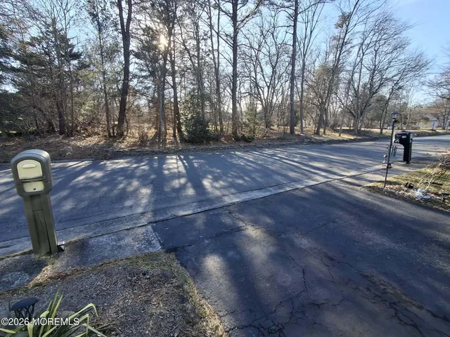 a view of outdoor space with yard