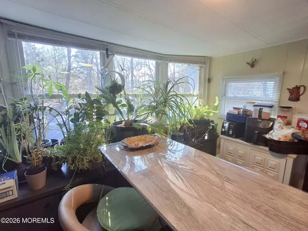 a dining room with furniture and a potted plant