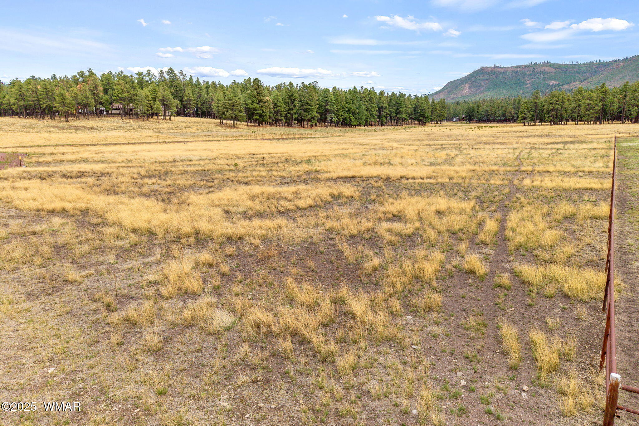 3 County Road Alpine, AZ 85920 - Photo 13 of 17 3N2157-Alpine-AZ-12