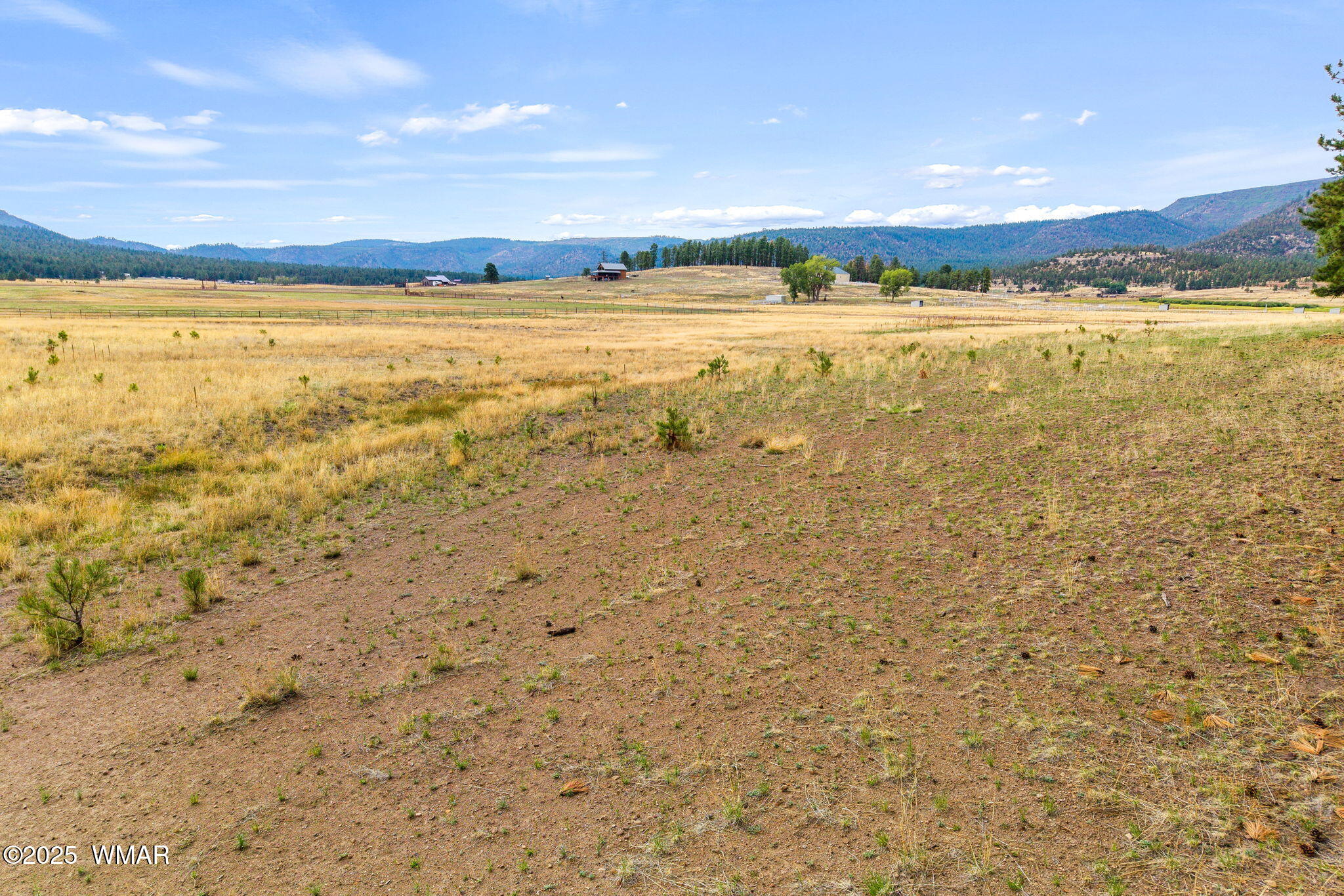 3 County Road Alpine, AZ 85920 - Photo 14 of 17 3N2157-Alpine-AZ-13