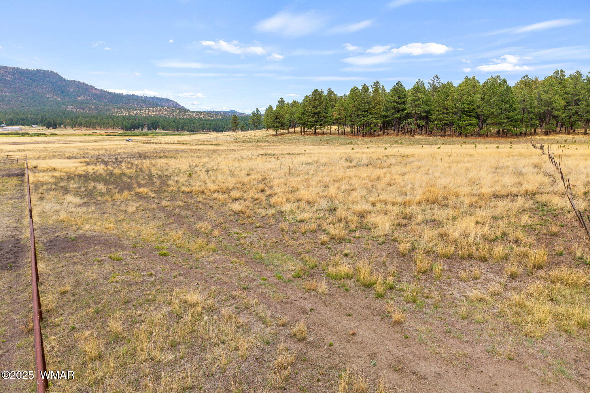 3 County Road Alpine, AZ 85920 - Photo 15 of 17 3N2157-Alpine-AZ-14