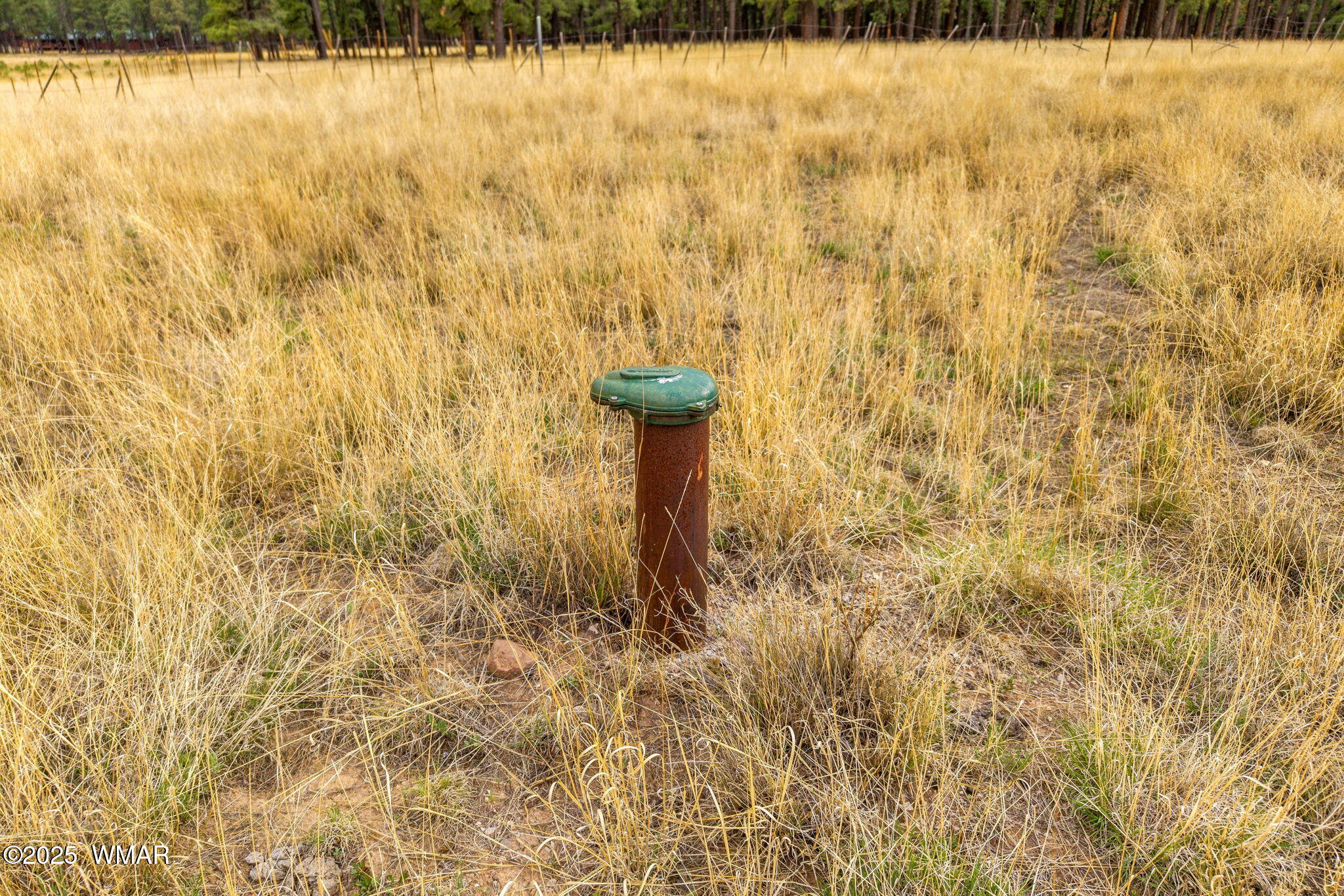 3 County Road Alpine, AZ 85920 - Photo 16 of 17 Well - tested at 10 GPM