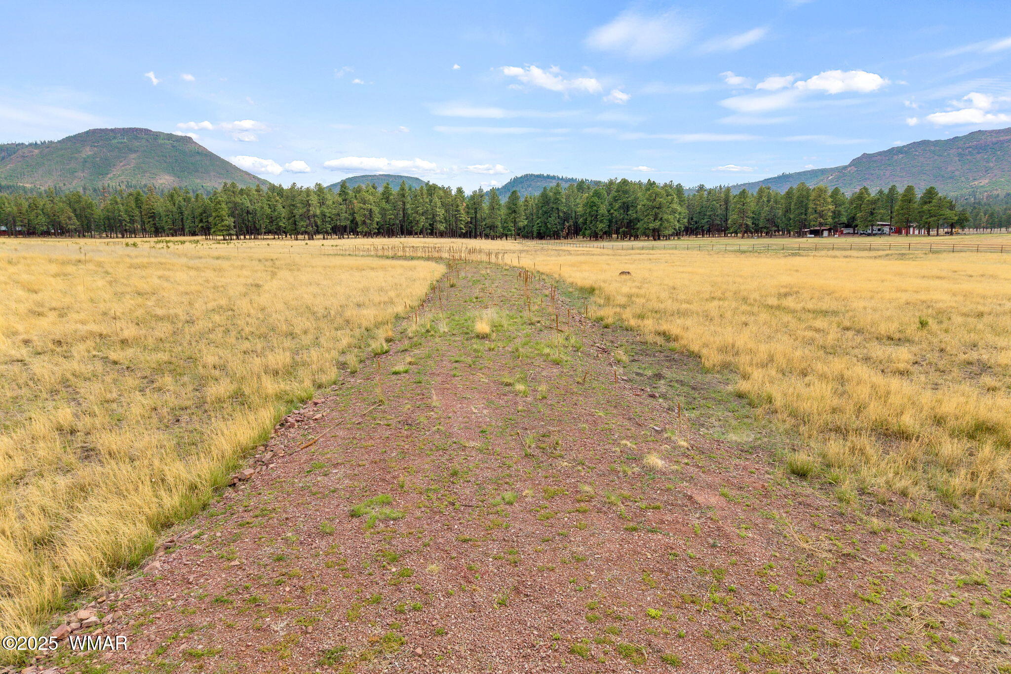 3 County Road Alpine, AZ 85920 - Photo 17 of 17 3N2157-Alpine-AZ-16