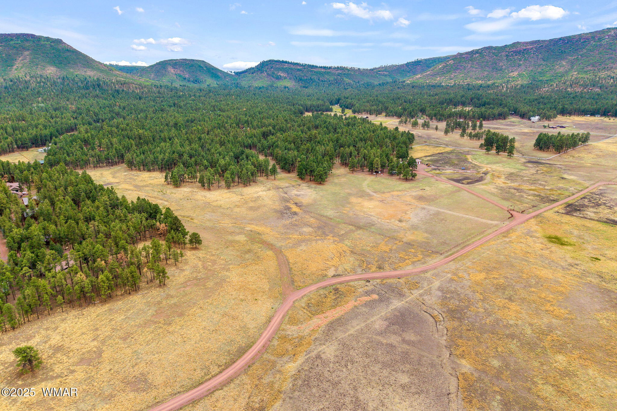 3 County Road Alpine, AZ 85920 - Photo 2 of 17 View to the S/W