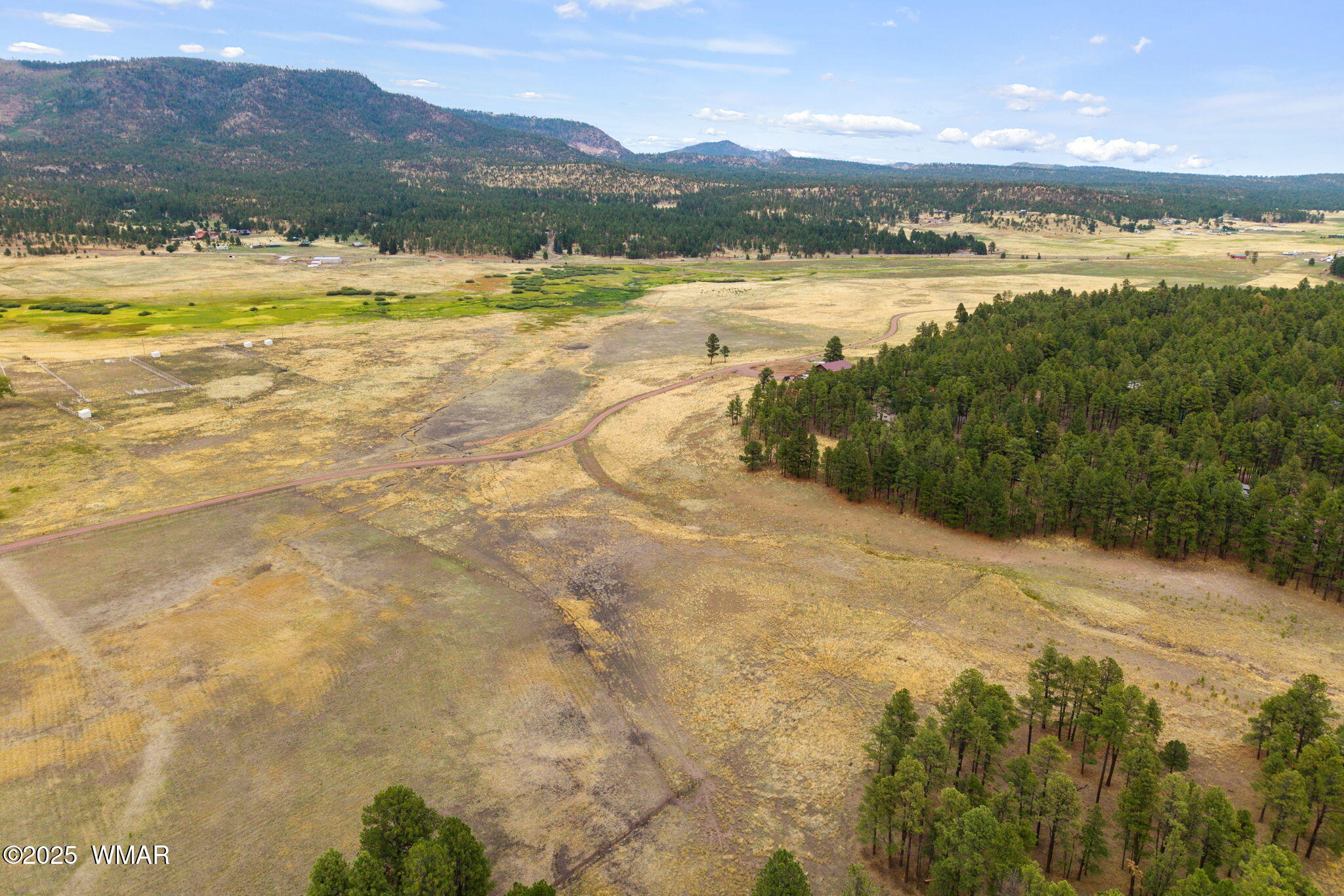 3 County Road Alpine, AZ 85920 - Photo 5 of 17 View to N/E