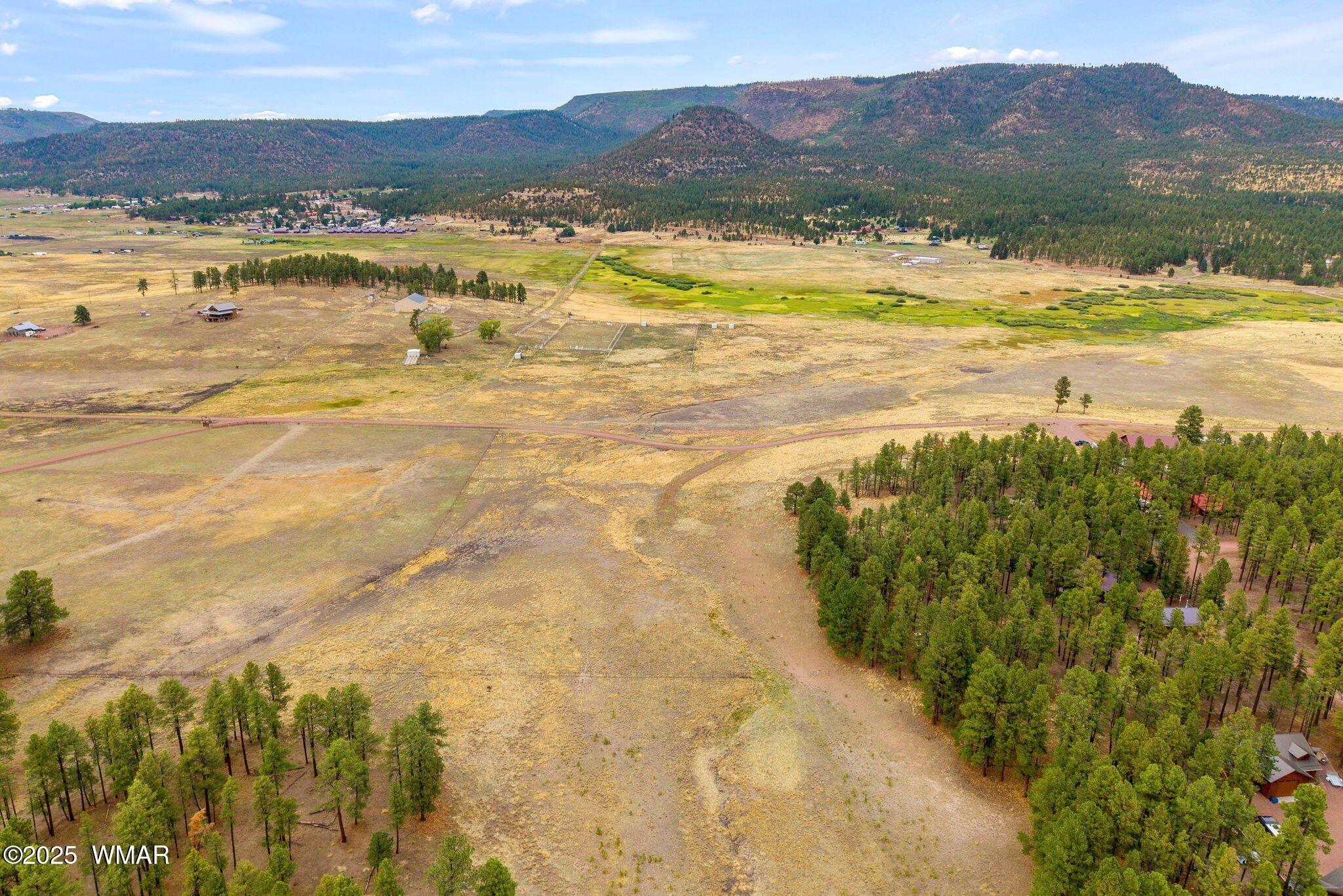 3 County Road Alpine, AZ 85920 - Photo 6 of 17 Looking north