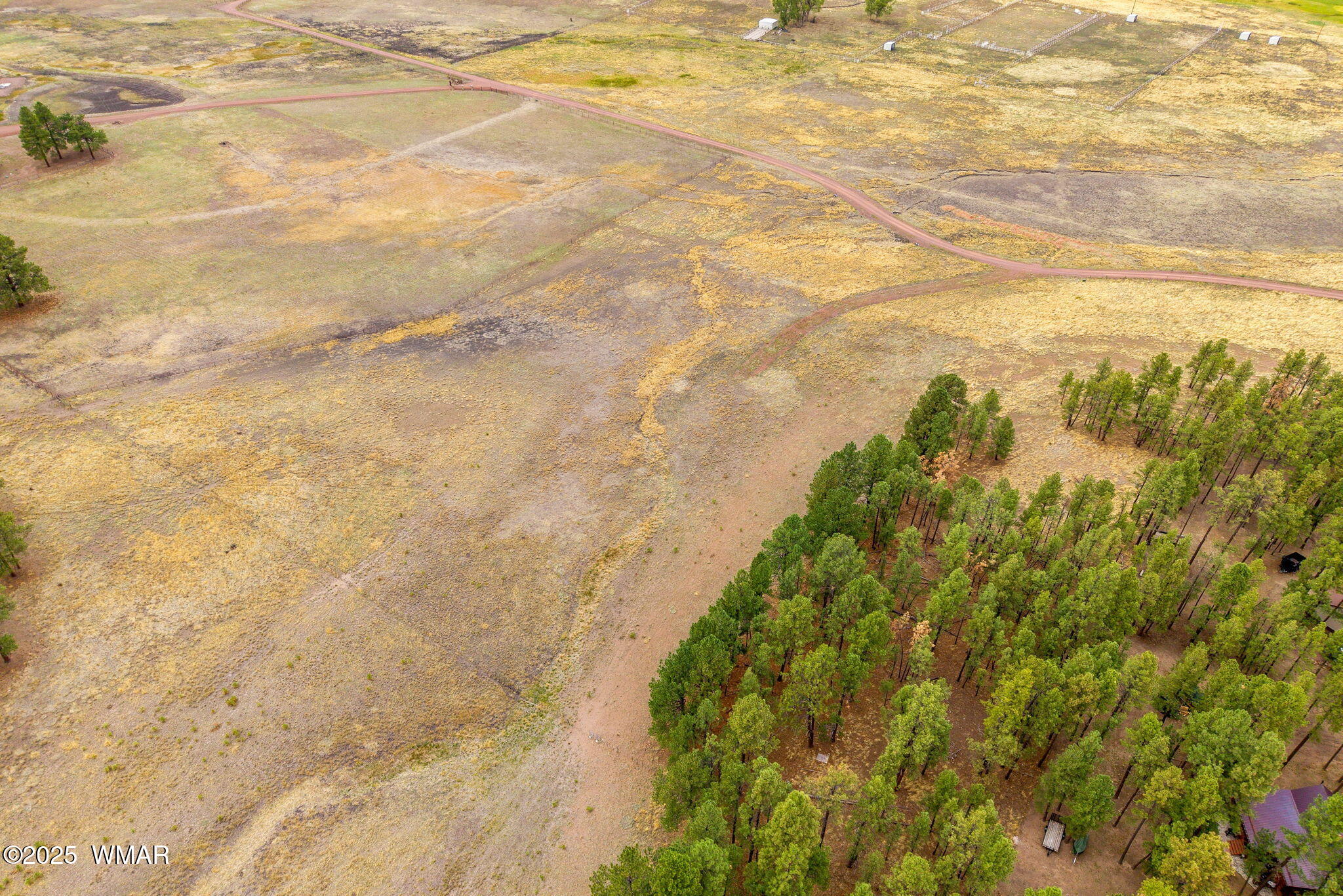 3 County Road Alpine, AZ 85920 - Photo 8 of 17 3N2157-Alpine-AZ-7