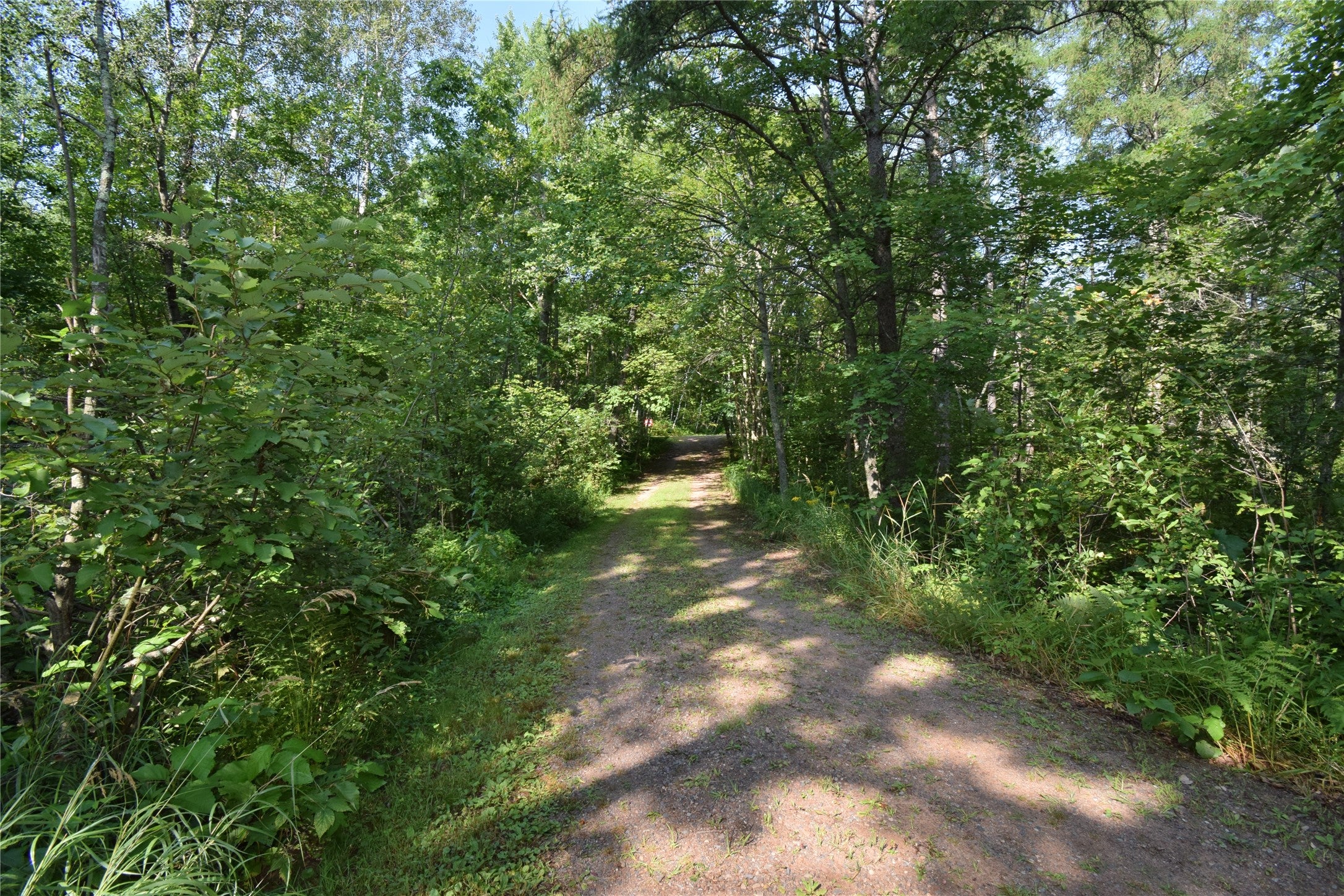 N4082 Deep Lake Road Sarona, WI 54870 - Photo 26 of 47 Gallery Image 26