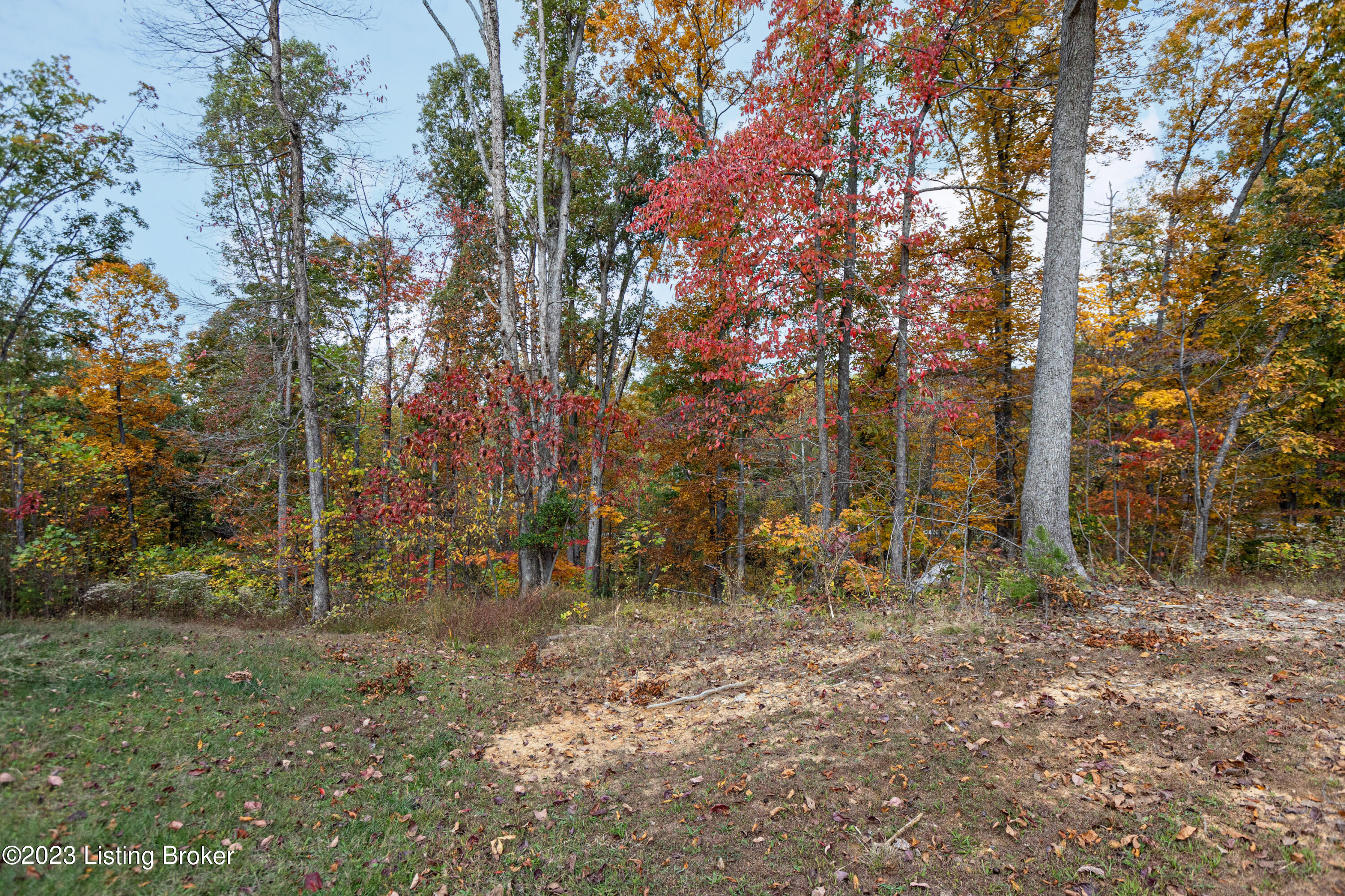2379 Wooldridge Ferry Road Elizabethtown, KY 42701 - Photo 44 of 57 050