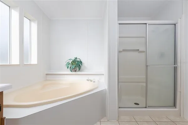 a bathroom with a bathtub and shower