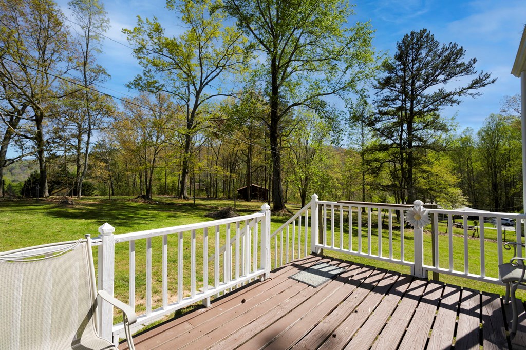 329 Ed King Road Blairsville, GA 30512 - Photo 3 of 38