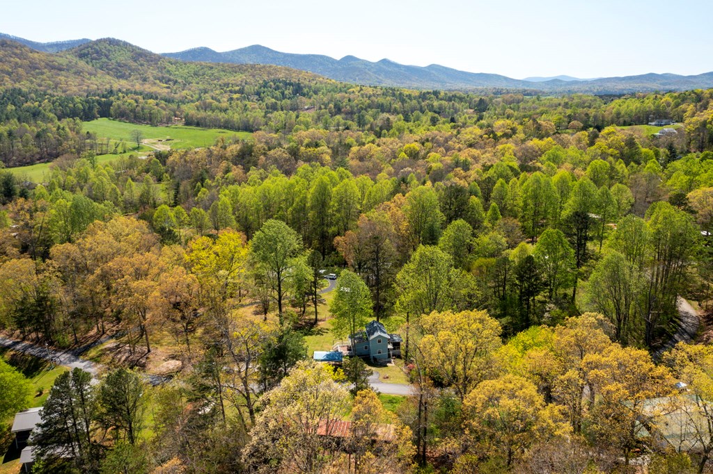 329 Ed King Road Blairsville, GA 30512 - Photo 37 of 38