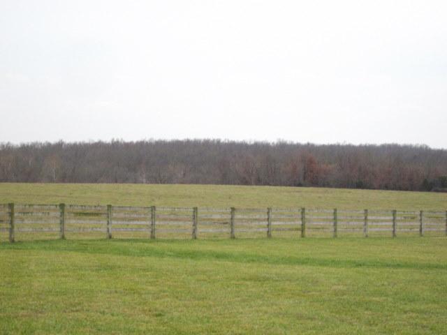 0 South 240th Road Buffalo, MO 65622 - Photo 1 of 1 Primary Photo