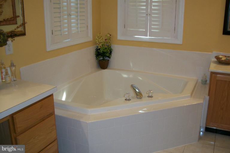 3962 Bay Road Pylesville, MD 21132 - Photo 29 of 30 Bath (Master)