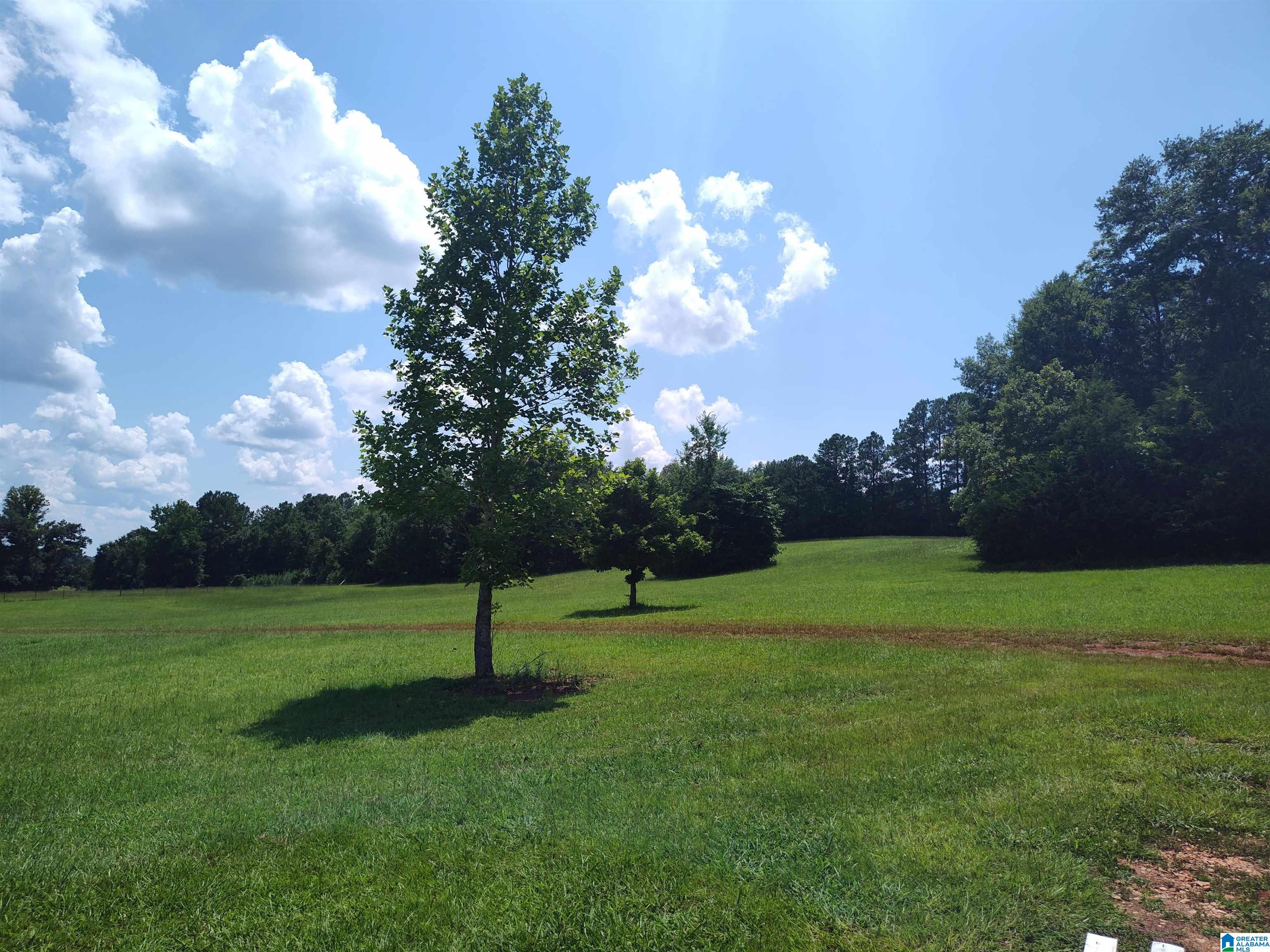 4417 Old Fayetteville Road Sylacauga, AL 35151 - Photo 2 of 24
