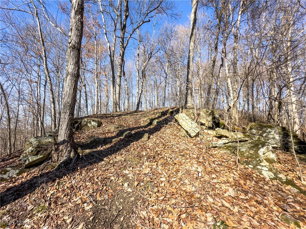 47562 Pratts Run Road Clarington, OH 43915 - Photo 40 of 49 View of local wilderness