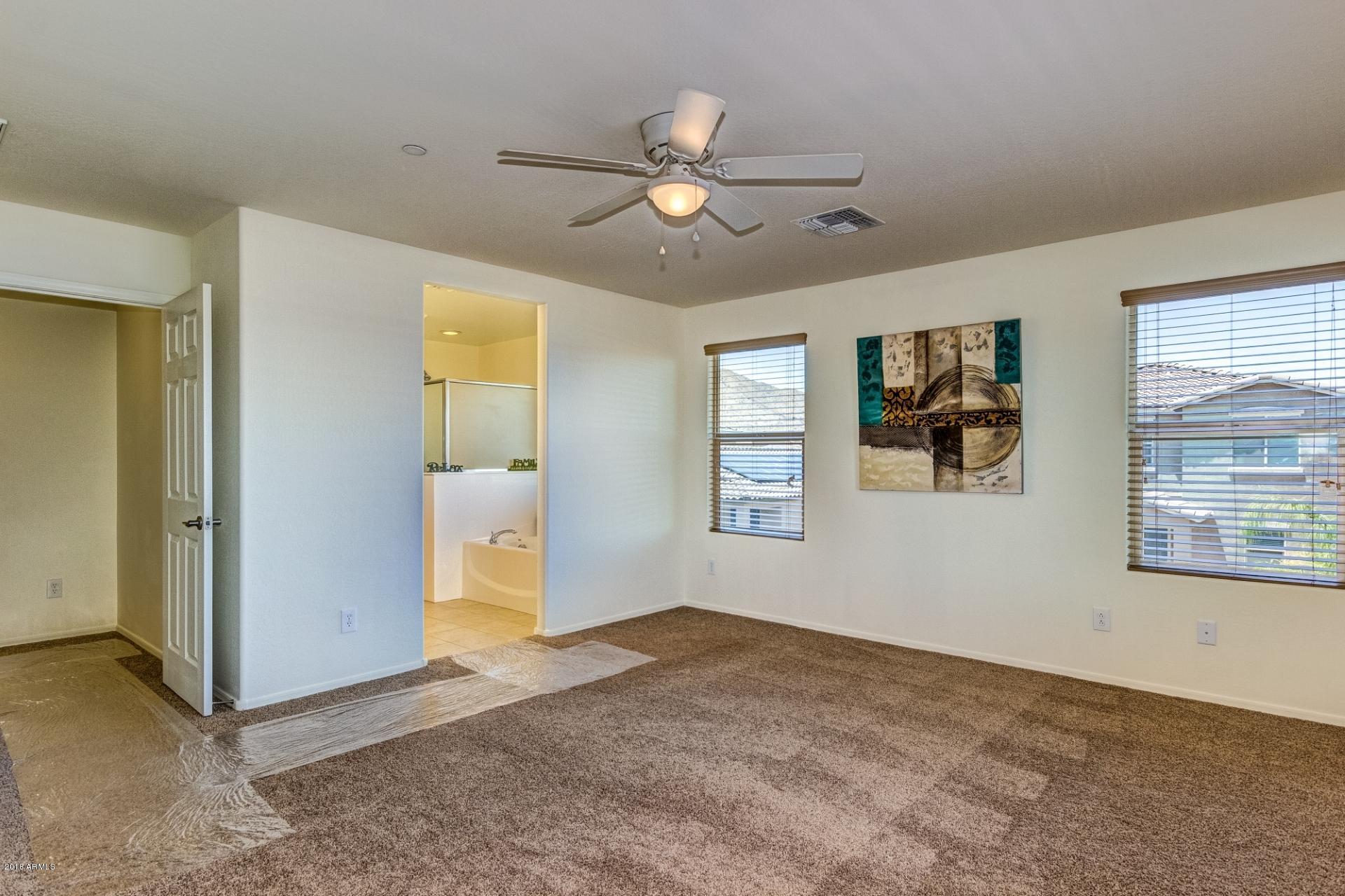 21178 West Coronado Road Buckeye, AZ 85396 - Photo 20 of 44 c22
