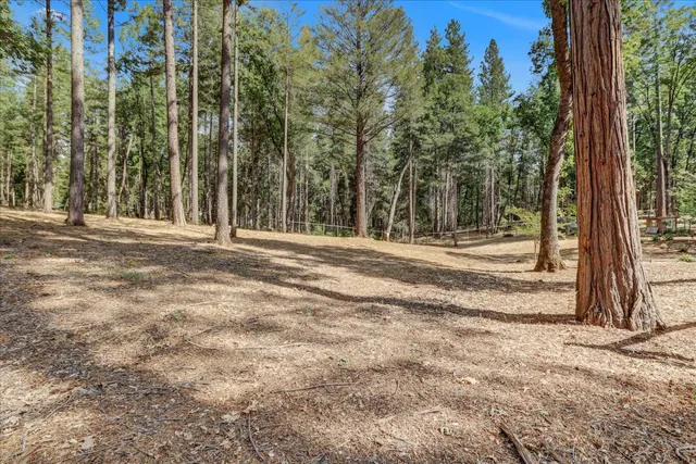 a view of a backyard of a house