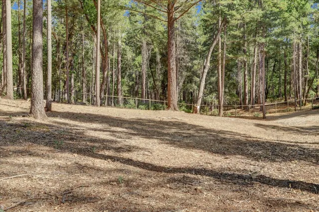 a view of a yard with trees