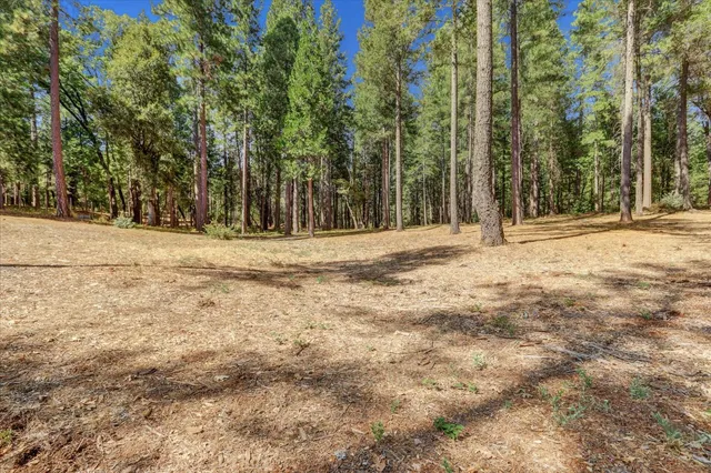 a view of outdoor space with trees