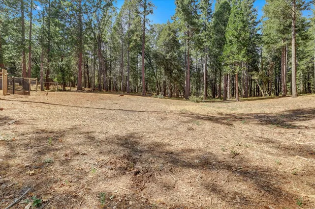 a view of a dirt yard with large trees