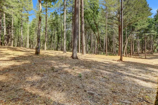 a view of a backyard of the house